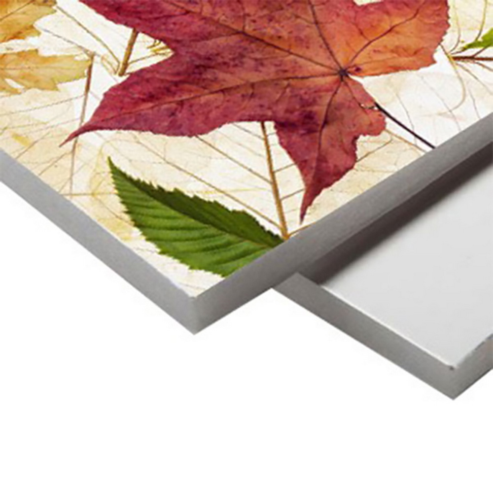 1220*2440mm Hot Sale PVC Foam Board for UV Printing
