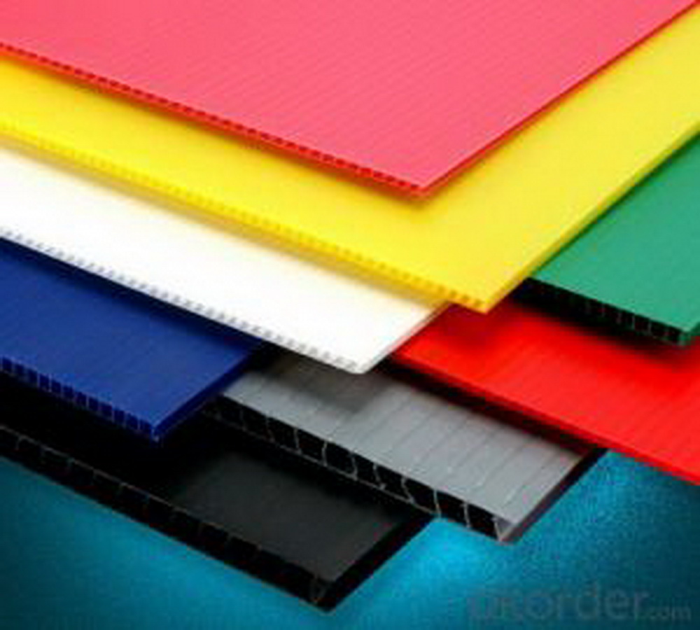 UV Printing Custom Full Color Signs with 5mm PVC Foam Board Die Cut Shape